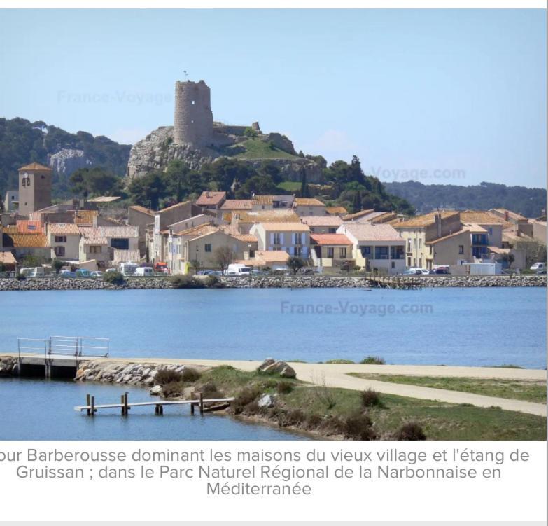 L Appart D Ange 1 Idealement Situe 37M2 Entre Port Et Village Gruissan Εξωτερικό φωτογραφία